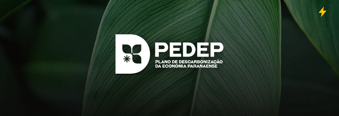PEDEP: capa do case