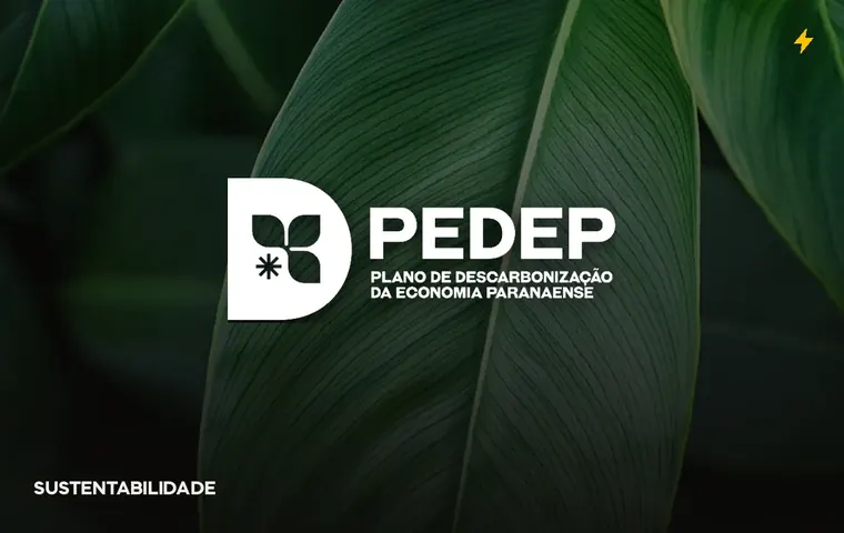 Case PEDEP